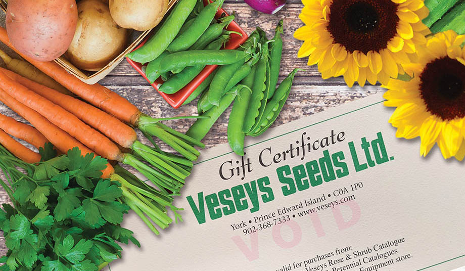 Gift certificate in front of a basket